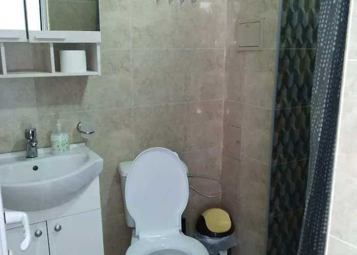 Casa De Vacanta Mari Homestay